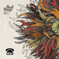 Bed Rugs – 8th Cloud