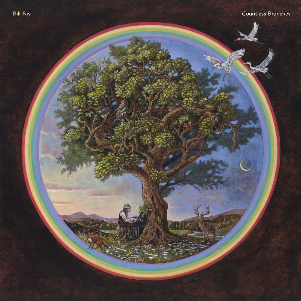 Bill Fay – Countless Branches (Deluxe Edition)