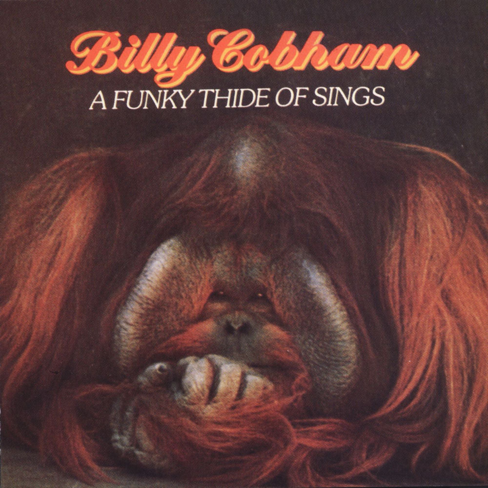 Billy Cobham – A Funky Thide Of Sings