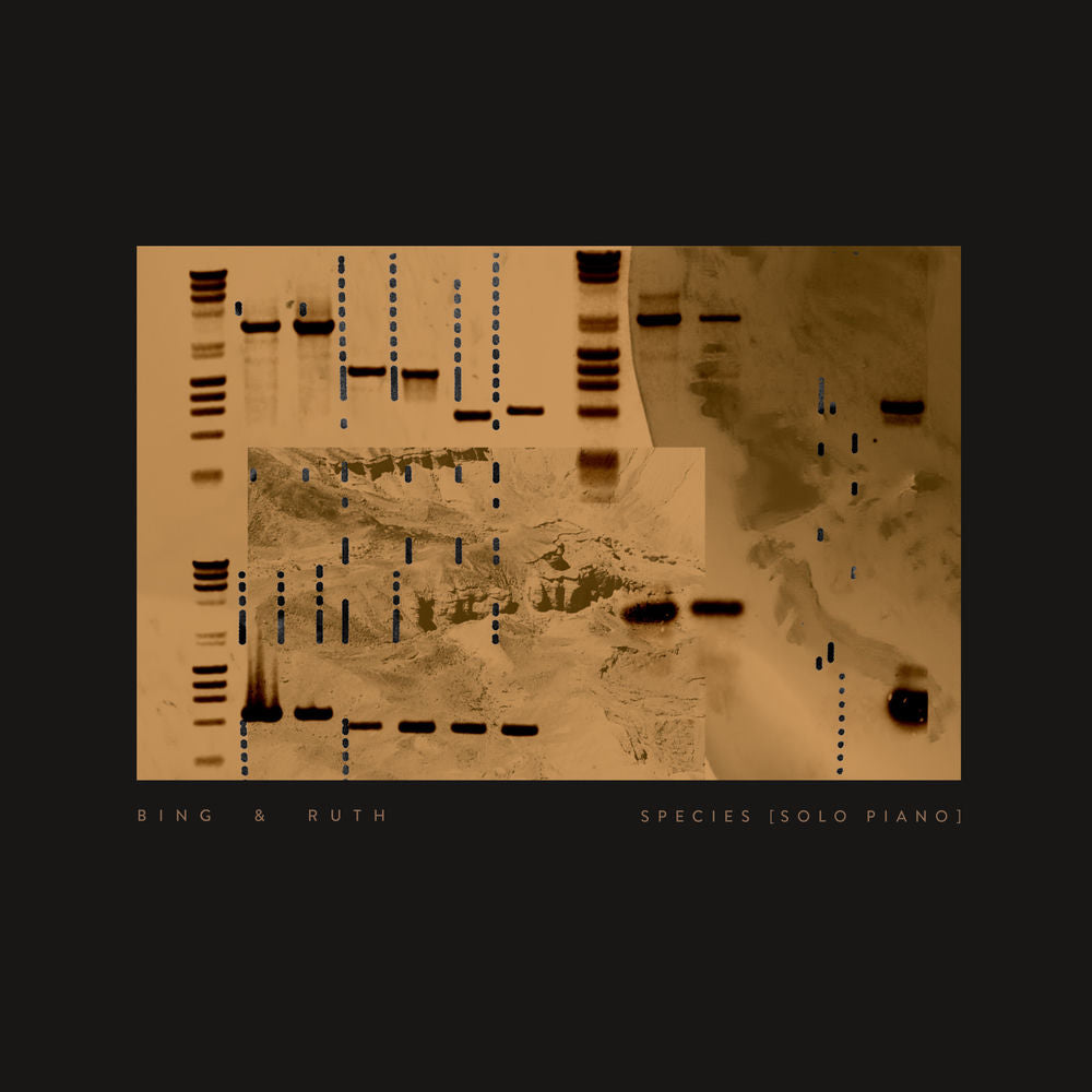Bing & Ruth – Species (solo piano)