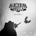 Blackbird Angels – Solsorte