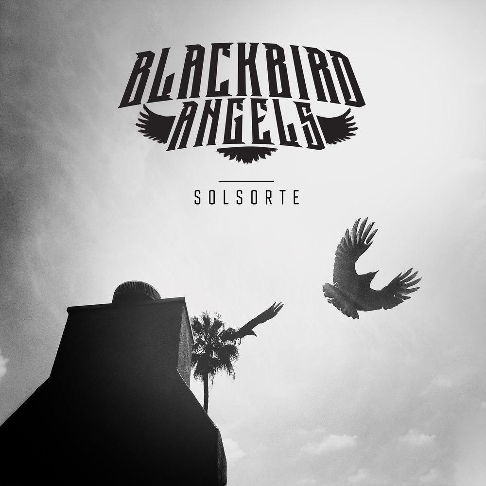 Blackbird Angels – Solsorte