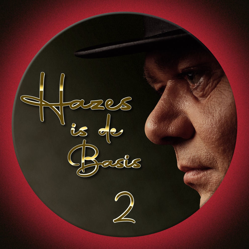 Blandade Artister – Hazes Is De Basis 2