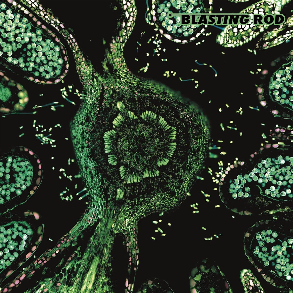 Blasting Rod – Of Wild Hazel