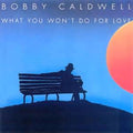 Bobby Caldwell – What You Won't Do for Love