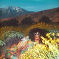 Brittany Howard – What Now