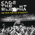 Cage The Elephant – Live From The Vic In Chicago