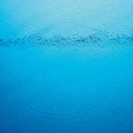 Caribou – Suddenly