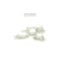 Caspar Auwerkerken – Figuring Out My Horizons