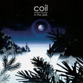 Coil – Musick To Play In The Dark