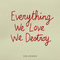 Coilguns – Everything We Love, We Destroy