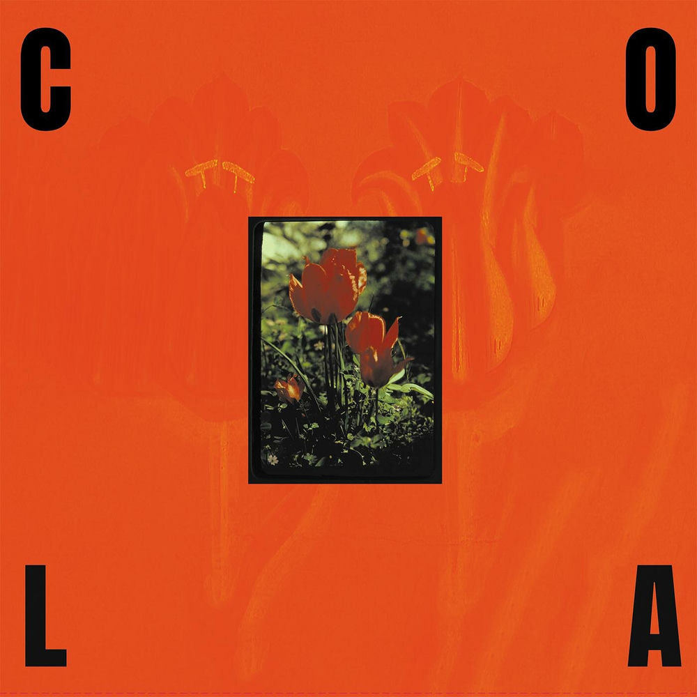 Cola – The Gloss