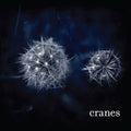 Cranes – Cranes