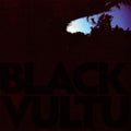 Daniel Norgren – Black Vultures