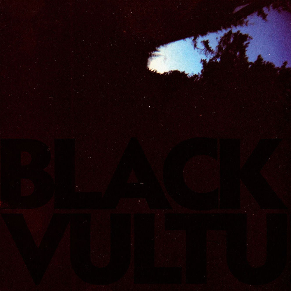 Daniel Norgren – Black Vultures