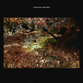 Daniel Norgren – The Green Stone