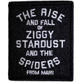 David Bowie Standard Patch: The Rise and Fall