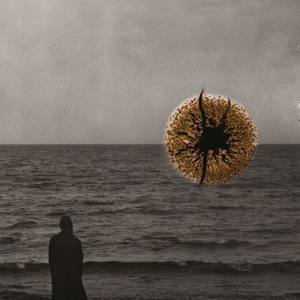 David Granström – Echoes of Impermanence