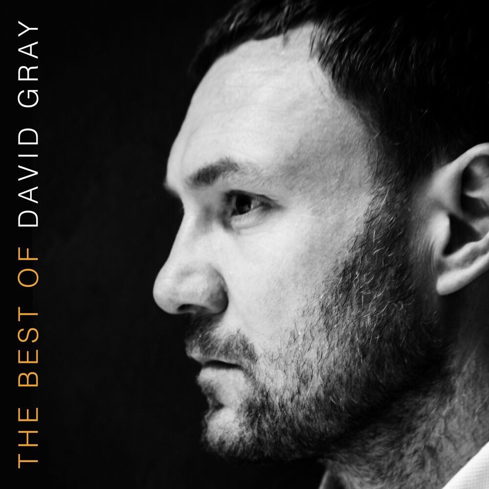 David Gray – The Best of David Gray