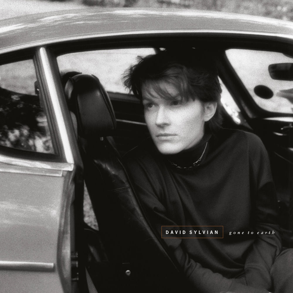 David Sylvian – Gone To Earth (Remastered 2003)