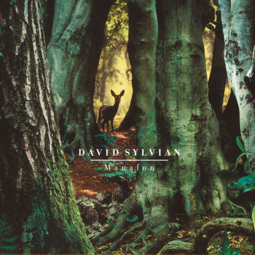 David Sylvian – Manafon