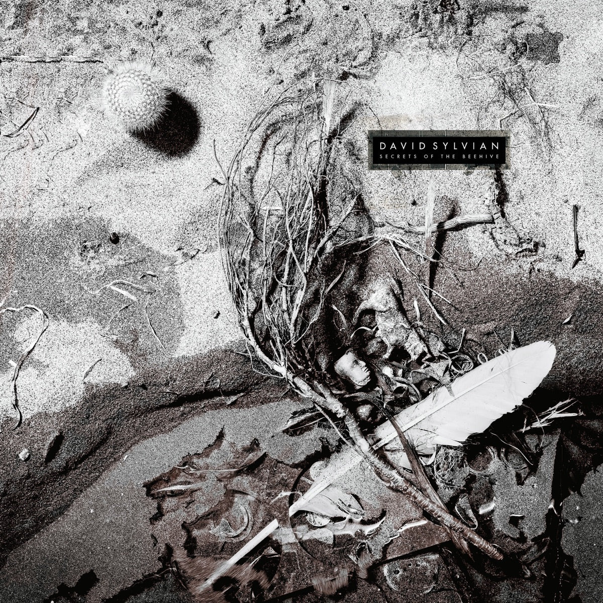 David Sylvian – Secrets of the Beehive (Remastered 2003)