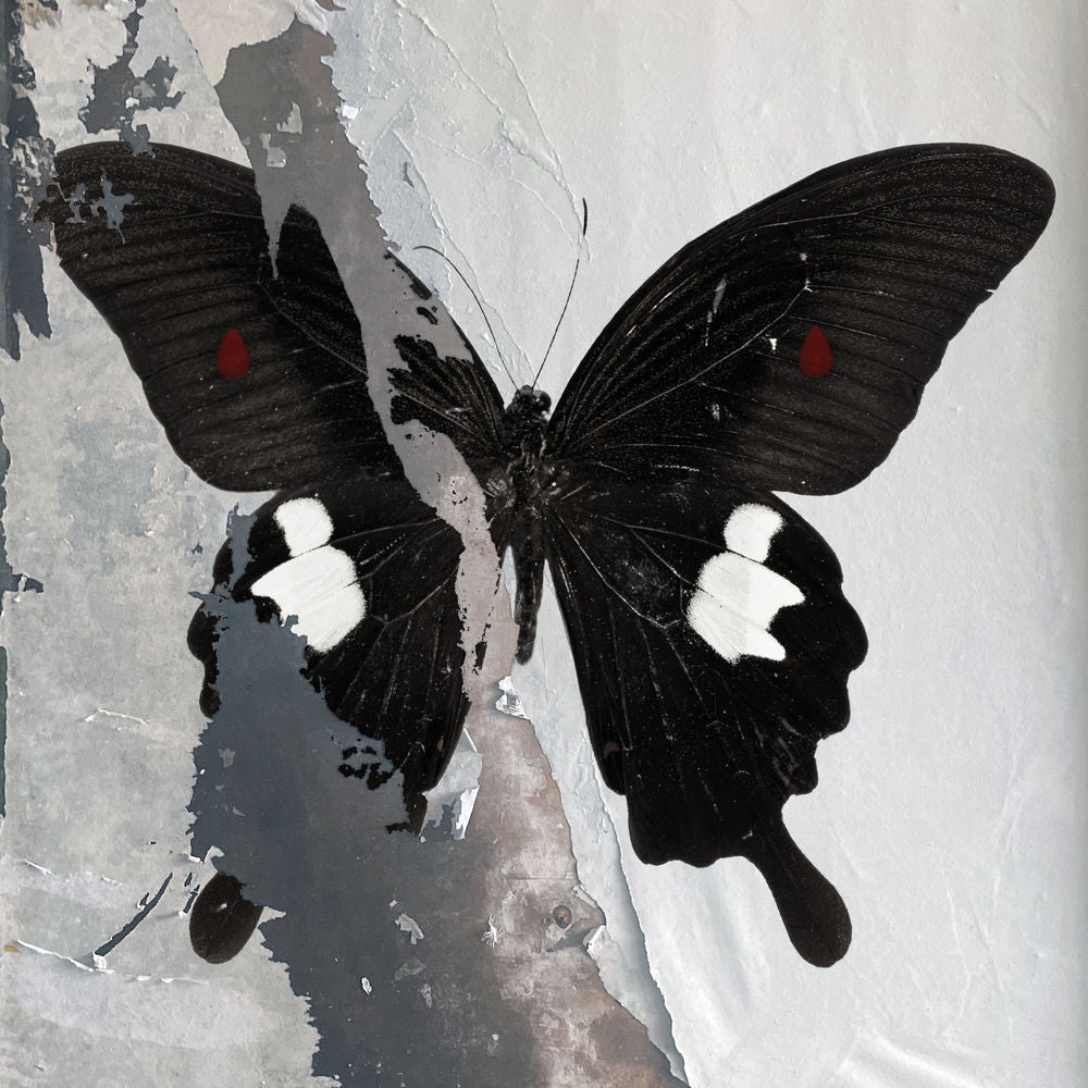 Death Cult – Paradise Now