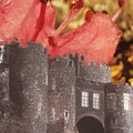 Deerhunter – Microcastle