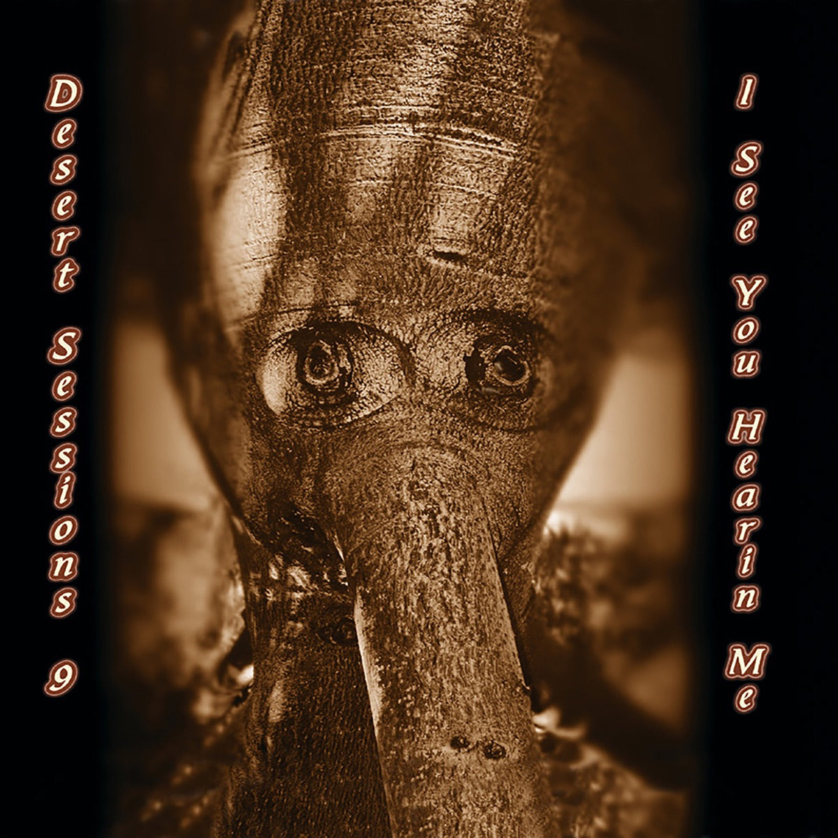 Desert Sessions – The Desert Sessions Vol 9 & 10