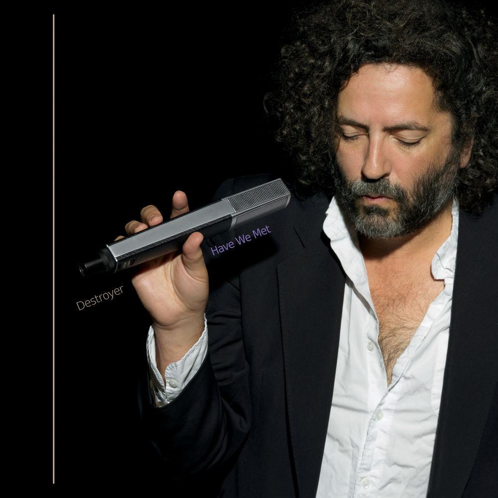 Destroyer – Have We Met