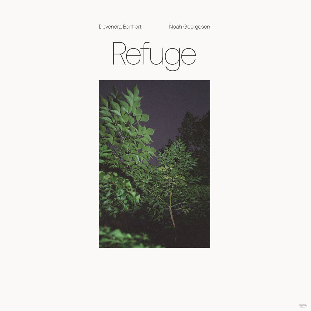Devendra Banhart – Refuge