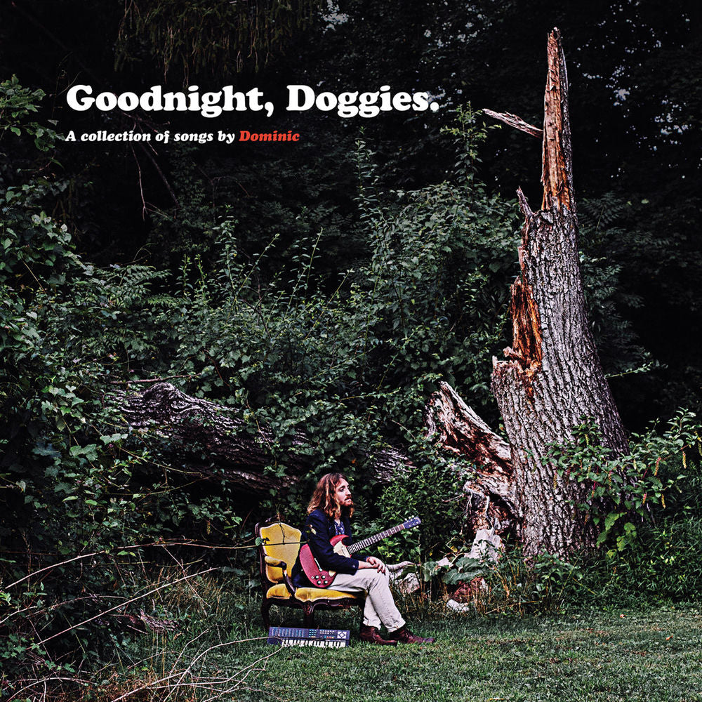 Dominic Angelella – Goodnight, Doggies.