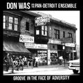 Don Was – Groove In The Face Of Adversity