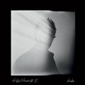 Doyle Bramhall II – Shades