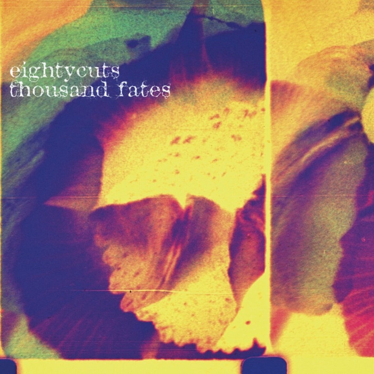 eightycuts – Thousand Fates