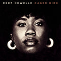 Ekep Nkwelle – Caged Bird