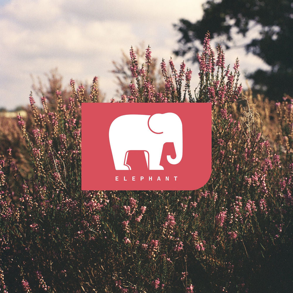 Elephant – Elephant