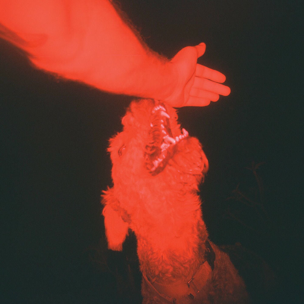 Eli Winter – A Trick of the Light