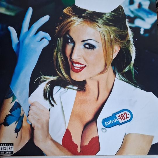 Blink-182 – Enema Of The State