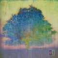 Eric Johnson – EJ