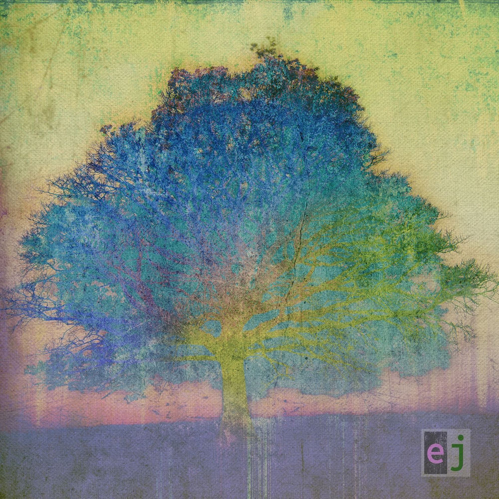 Eric Johnson – EJ