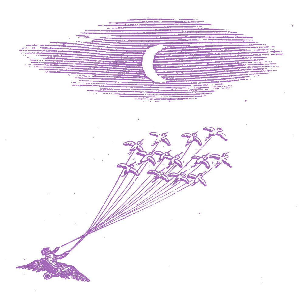 Feeling Figures – Migration Magic