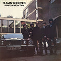 Flamin' Groovies – Shake Some Action