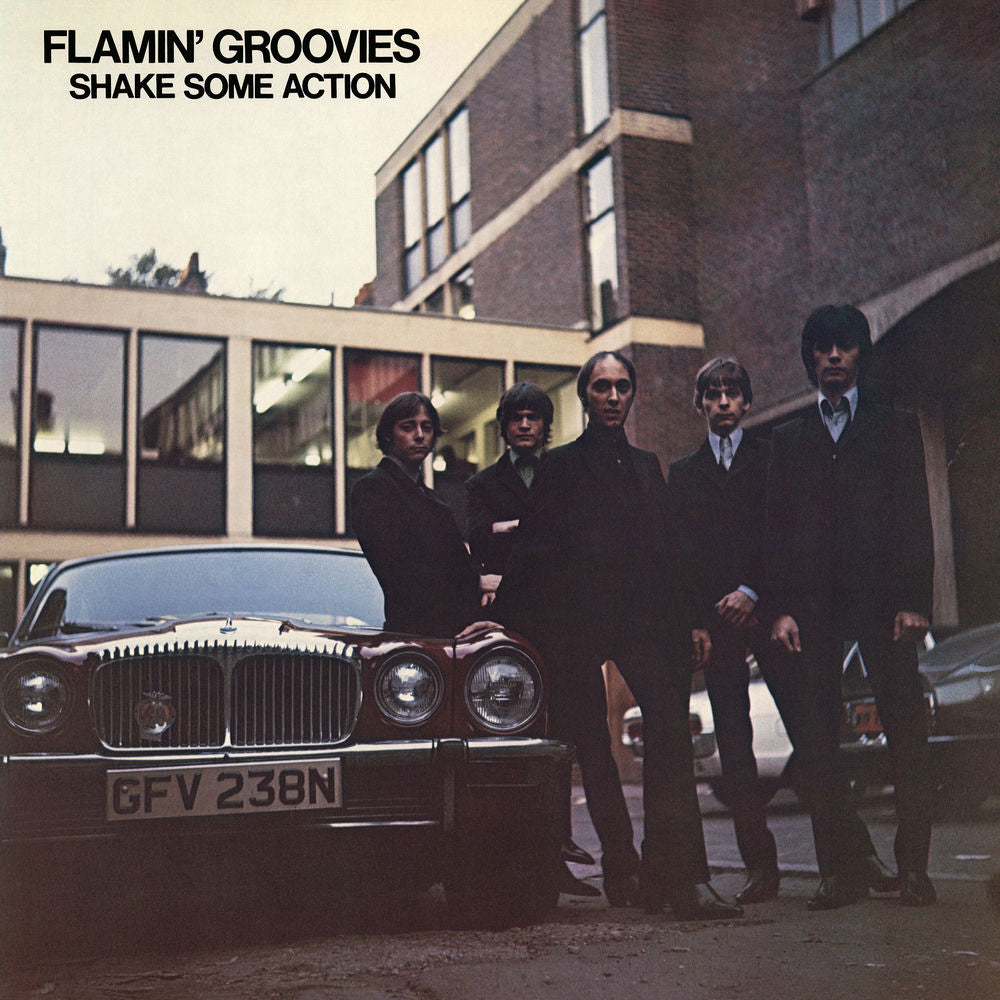 Flamin' Groovies – Shake Some Action