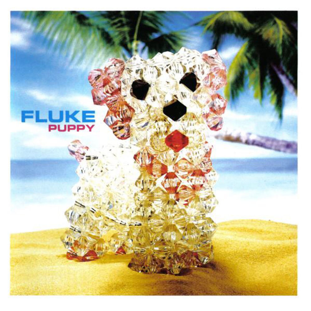 Fluke – Puppy