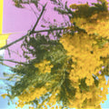 Four Tet – Into Dust (Still Falling)
