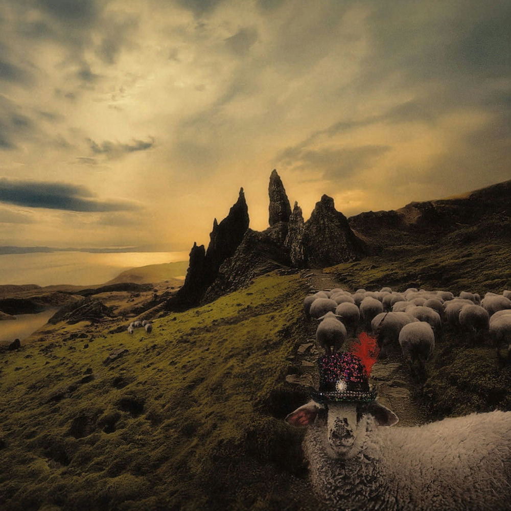 Franck Carducci – Sheeple