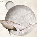 Gojira – From Mars To Sirius