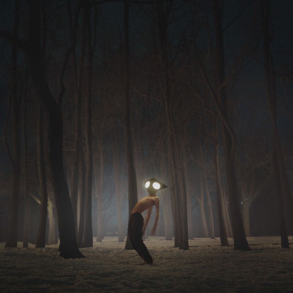 Geese – Projector