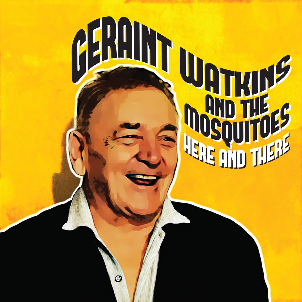 Geraint Watkins and The Mosquitoes – Here and There
